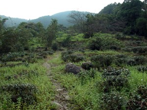 Sanxia-Wulai Hike